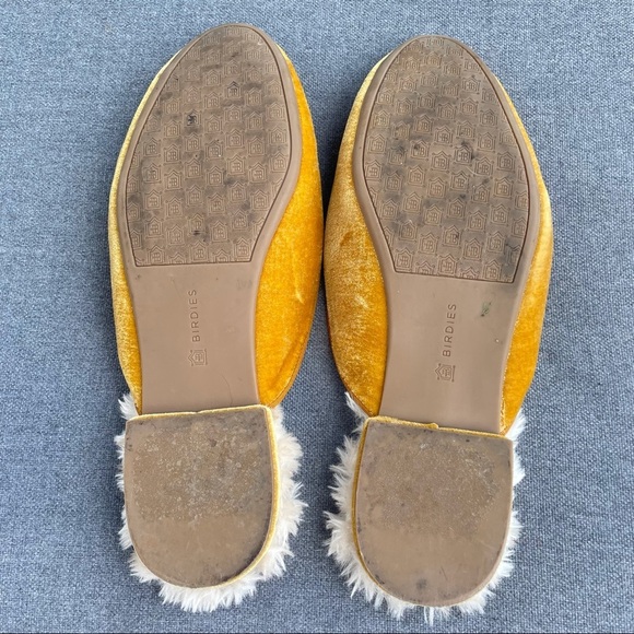 Birdies - Picture 7 of 11